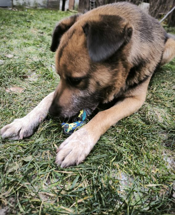 Kuba szuka nowego domu