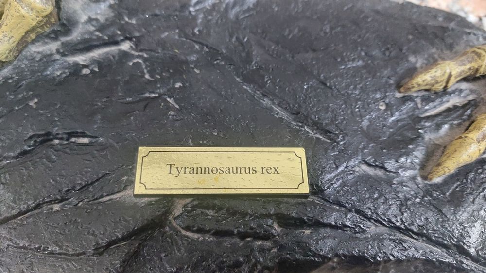 Dinossauro T-Rex443666080580904962