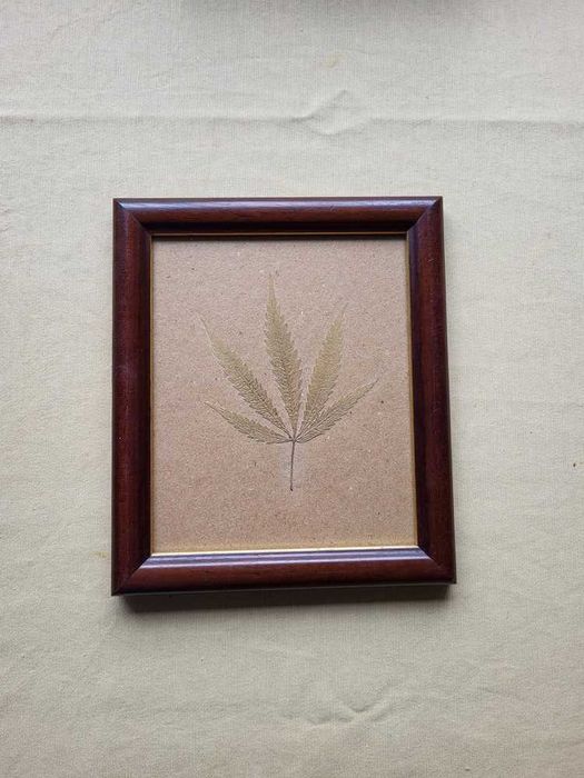 Quadro com Folha Especial