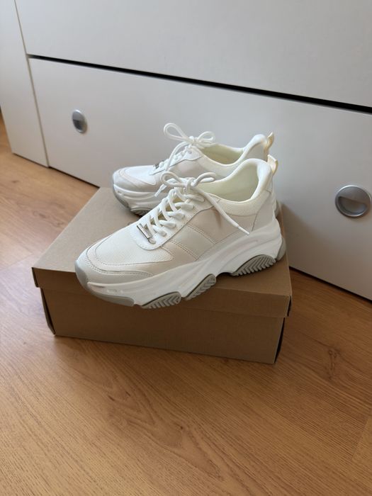Sneakers Steve Madden
