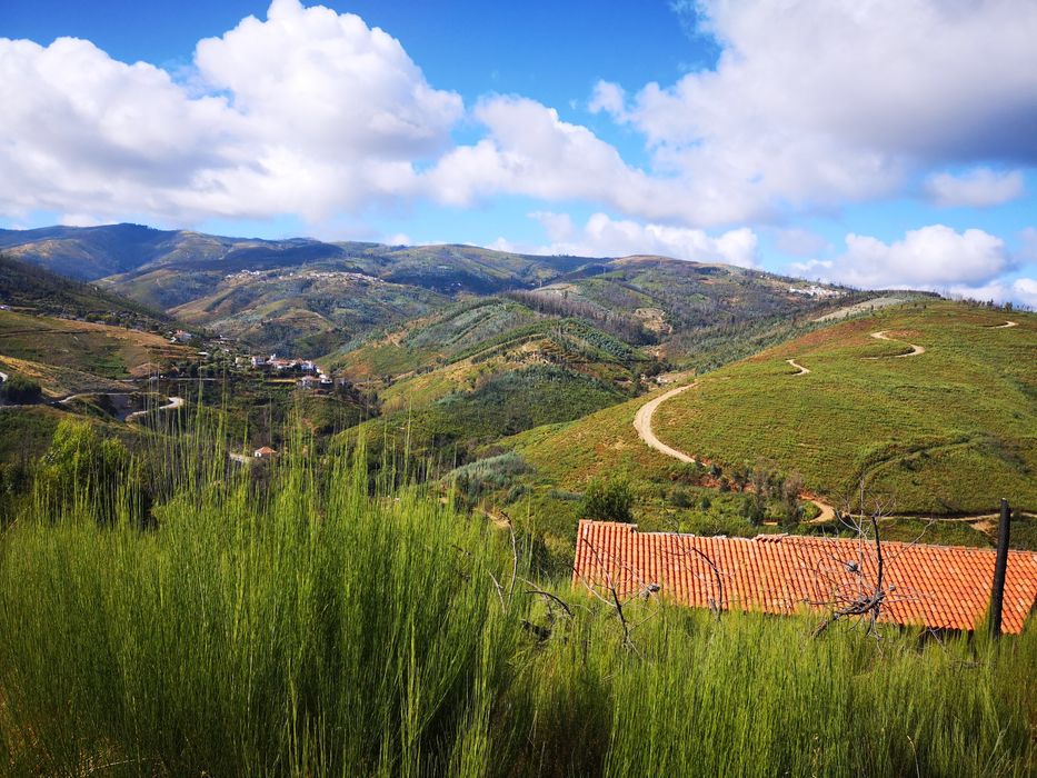 Terreno zona de Arganil