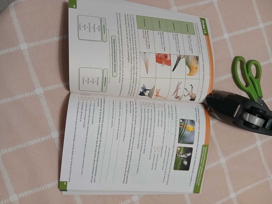 Fichas de teste de avaliação Ciências Naturais 5.ano