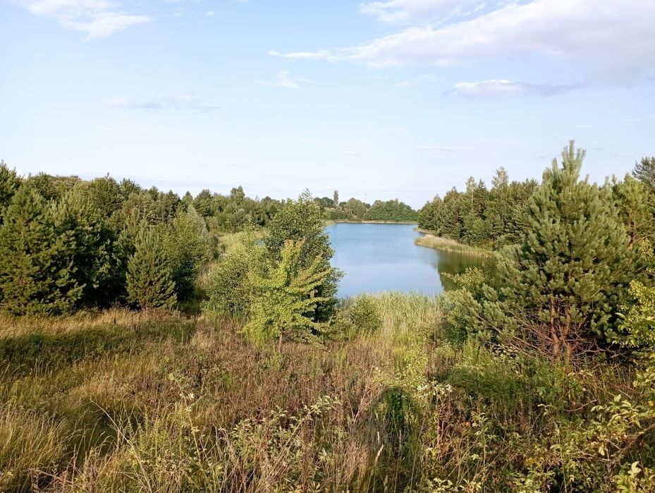 Продам земельну ділянку в с. Стрижівка