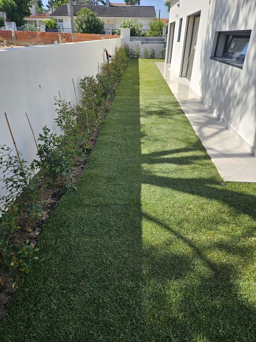 Relva natural em tapete