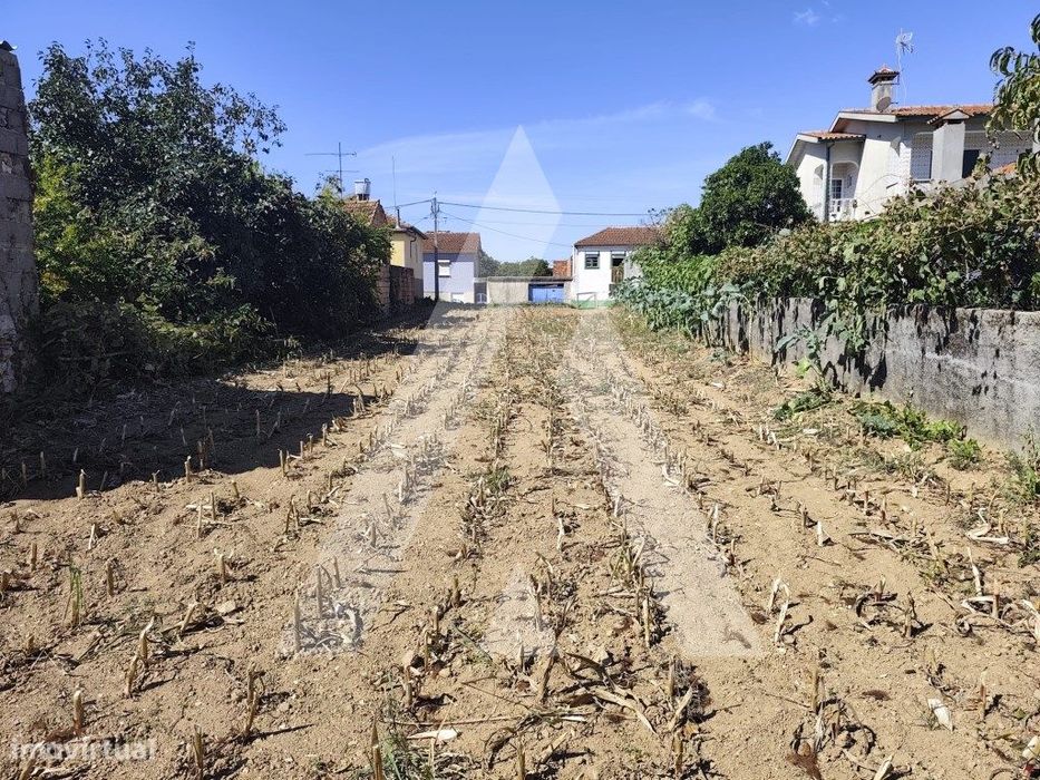 Terreno para construção de moradia em Águeda