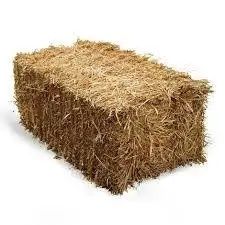 Продам солому 2025 року