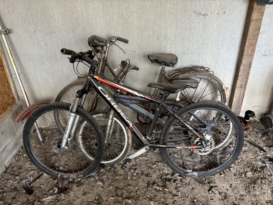 Bicicleta orbea usado