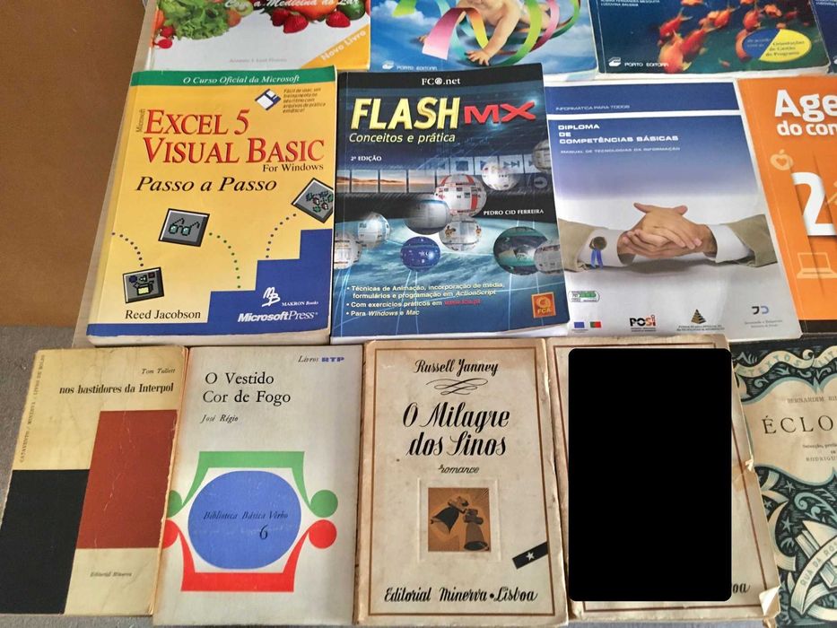 Lote de 31 livros