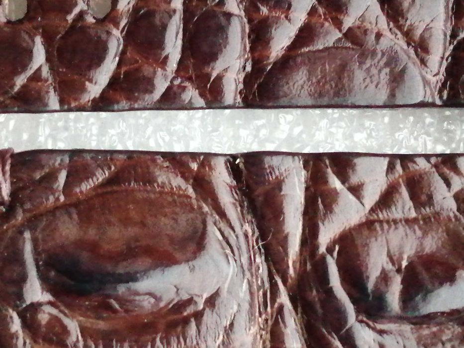 Bracelete de crocodilo real para relógio de pulso 22mm 100 % novo