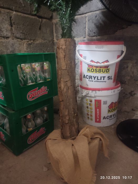 Choinka na pniu stuczna