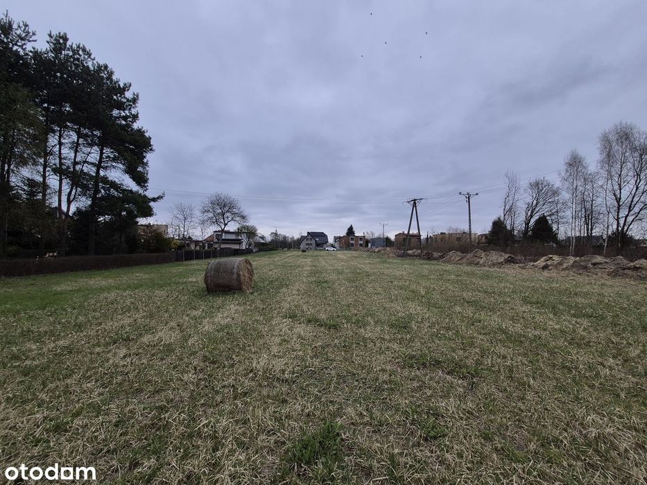 Działka 1696 m² | Chełm Śląski | 3 km do nowego węzła S1
