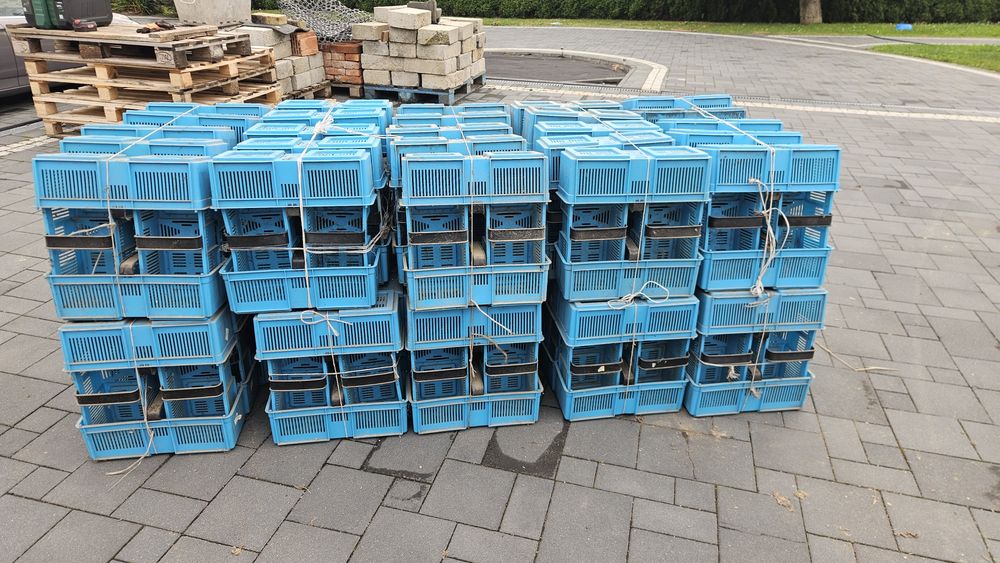 Łubianka plastikowa z uchem 200 szt niebieskie