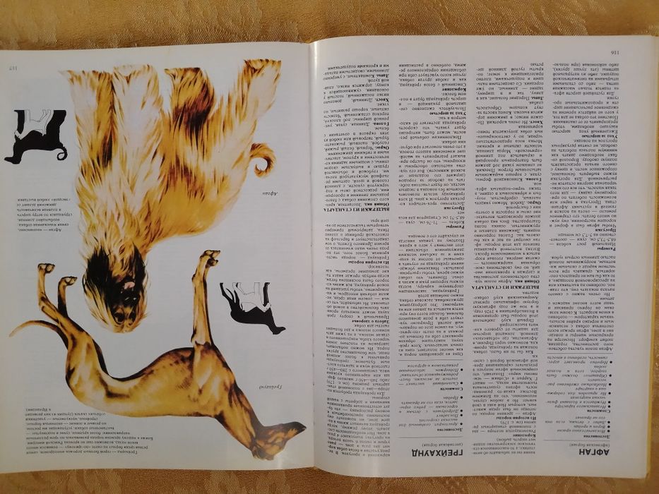 Ваша собака. Руководство по выбору и уходу за собакой.