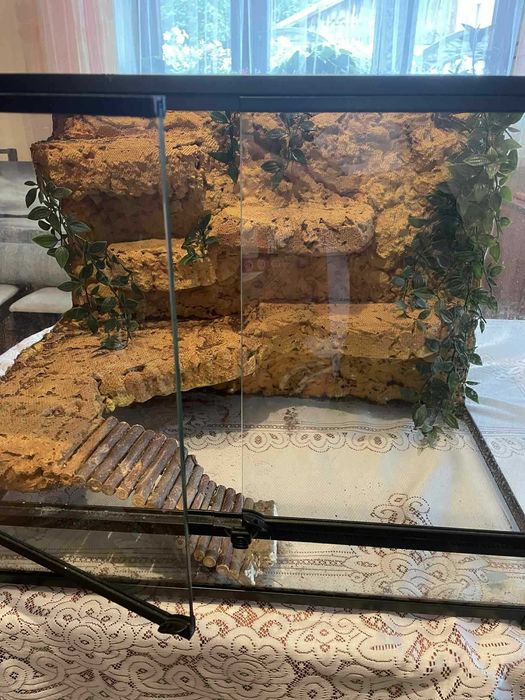 Terrarium 60x45x45 + akcesoria