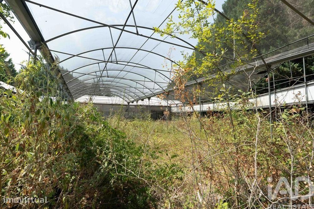 Terreno para construção em Borbela e Lamas de Olo de 2750,00 m2