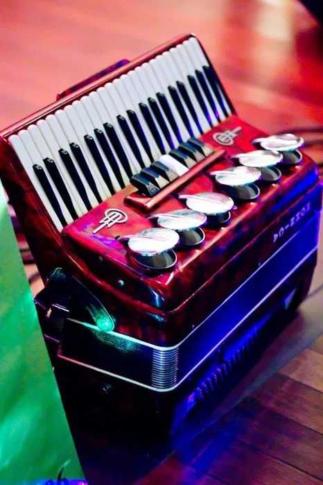 DJ / WODZIREJ / AKORDEONISTA - najlepszy wybór na Twoją imprezę !