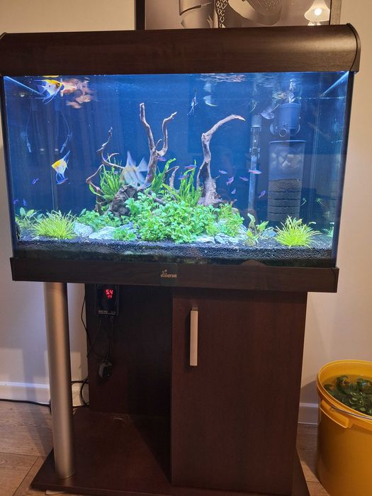 Akwarium+szafka+pokrywa+niezbędne dodatki