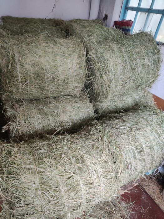 Продам сено. Укос 2026 года