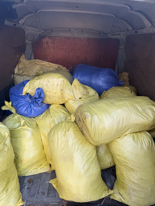 Obornik Koński i Kurzy - Transport!