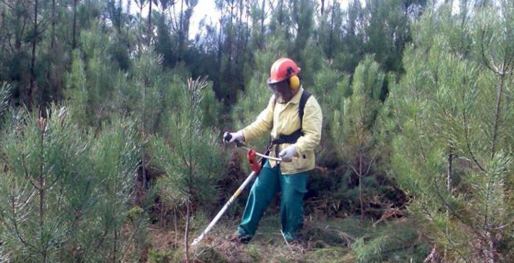 Faço limpeza dos terrenos