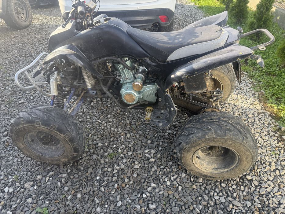 Sprzedam Bashan 200