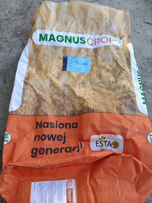 Pszenżyto Rotondo i Belcanto/Jęczmień ozimy Kosmos
