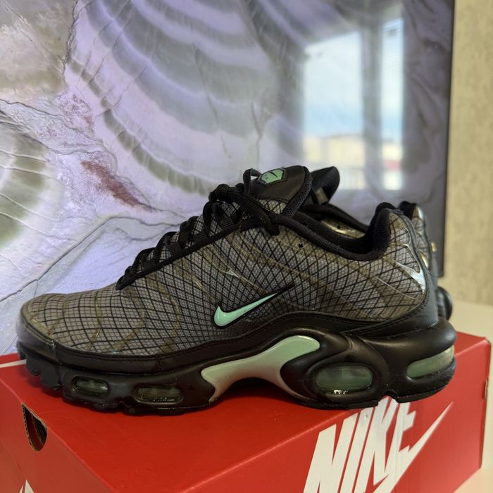 Кроссовки мужские Nike Air Max Plus Grey FB3351-001