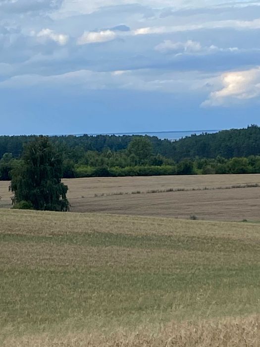 Bez prowizji. Przepiękne mieszkanie