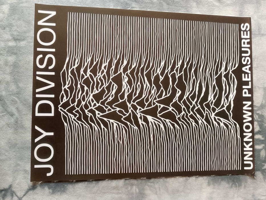 plakat na płótnie zespołu muzycznego joy division