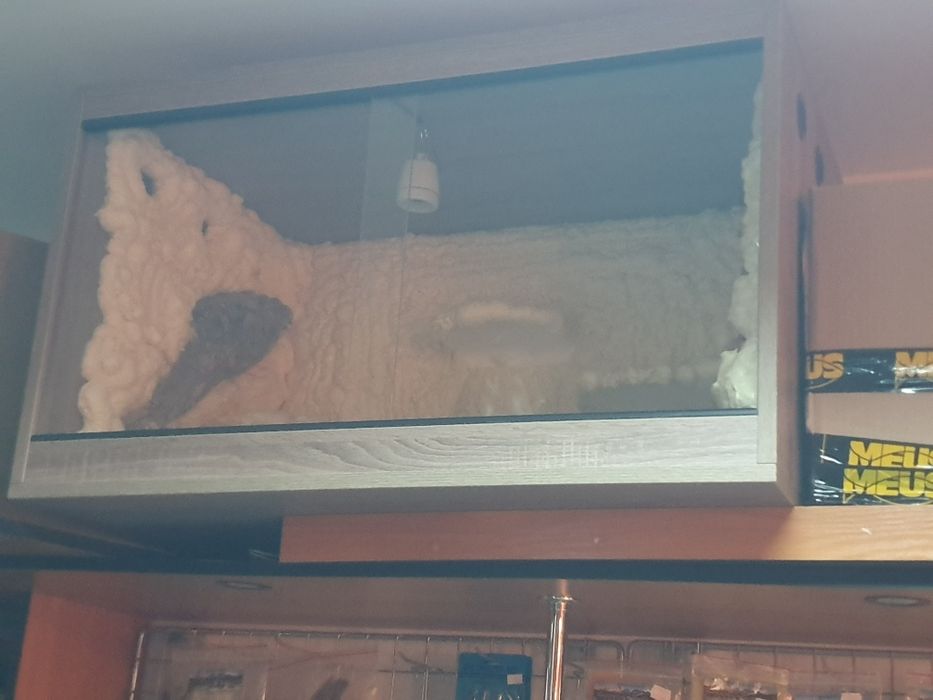Nowe Terrarium wyposażone