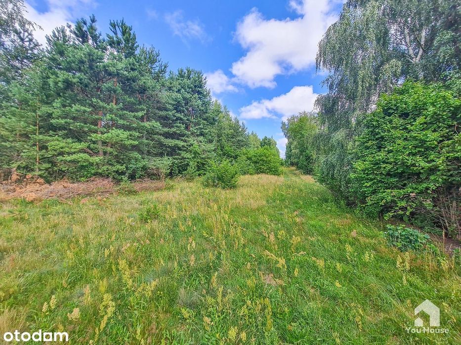 Działka budowlana 1339 m² – Tereszewo ( 3km do jeziora) - Widok 4