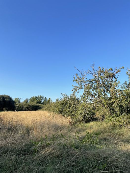 Terreno Rústico (2.350 m²) com Nora e Árvores - Pego, Abrantes