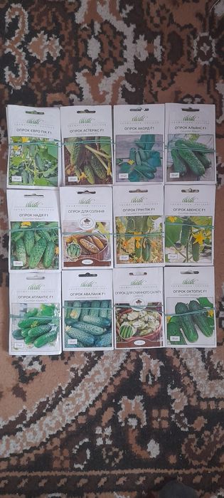 Семена овощей голандское насіння голандське якісне краща ціна
