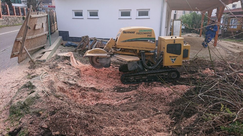 Usuwanie Frezowanie Pni Karczowanie Frezarka Karp Korzeni Drzew