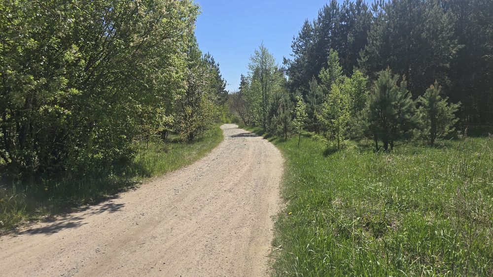 Дениші 17,5 сот. під забудову.(26161757)