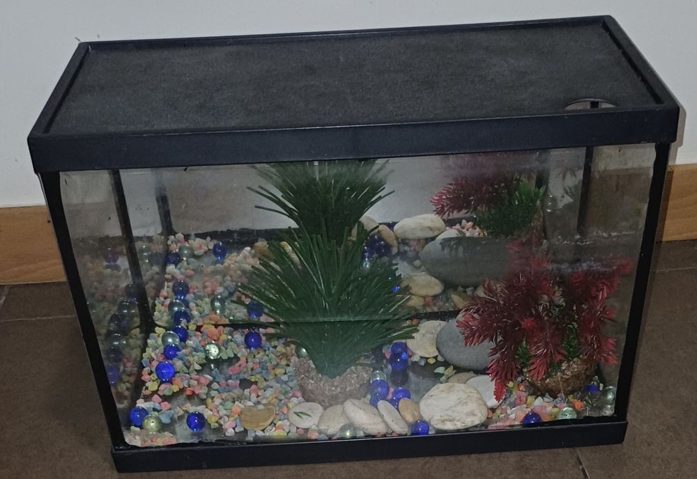 Aquário de Peixes