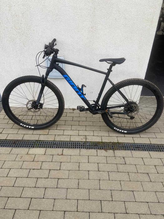 Rower Giant Talon 1 XL 2021