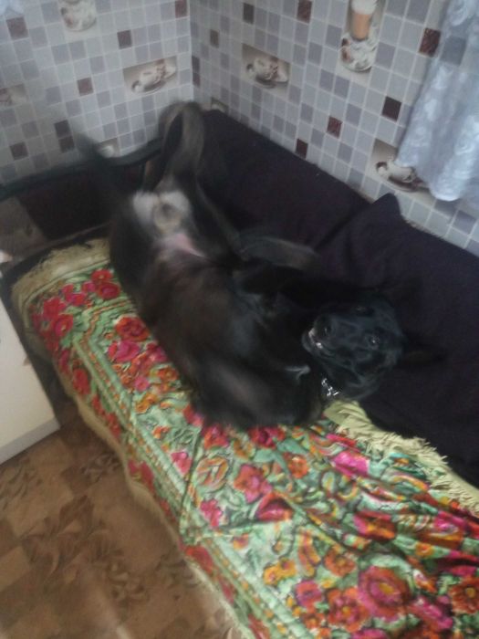 В'язка! Шукаємо подругу)