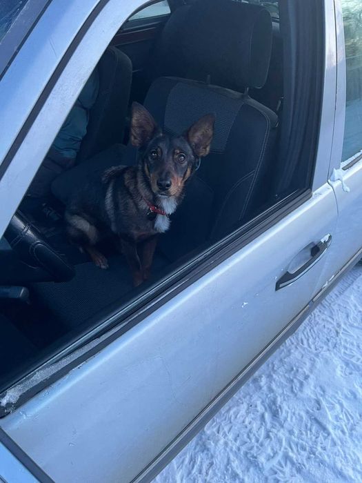 Mercedes-Benz E-Class 1994