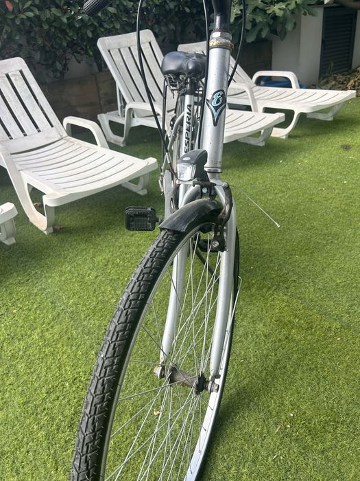 Bicicleta pasteleira