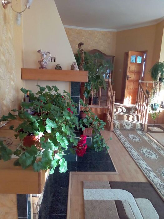Продаж великого будинку в Сваляві