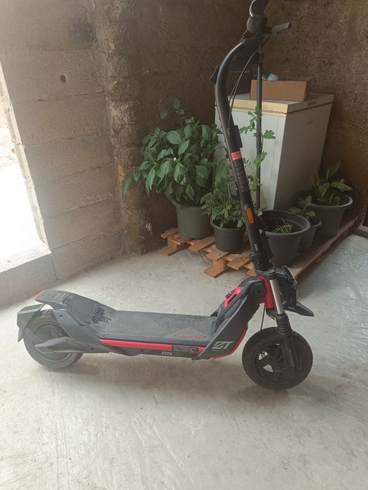 Trotinete segway