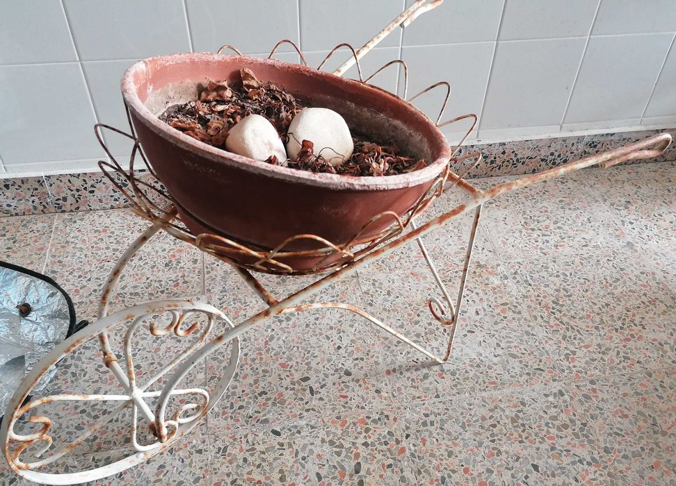 Carrinho de mão com vaso , decorativo