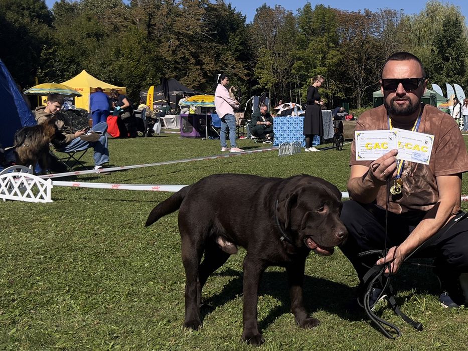 Лабрики темний шоколад