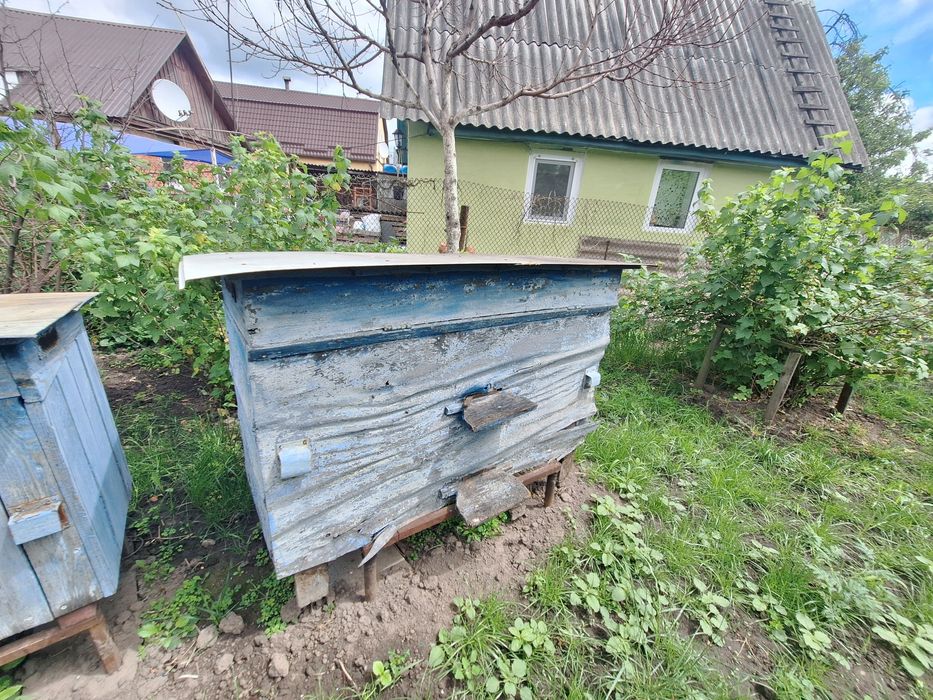 Продам гарні вулики