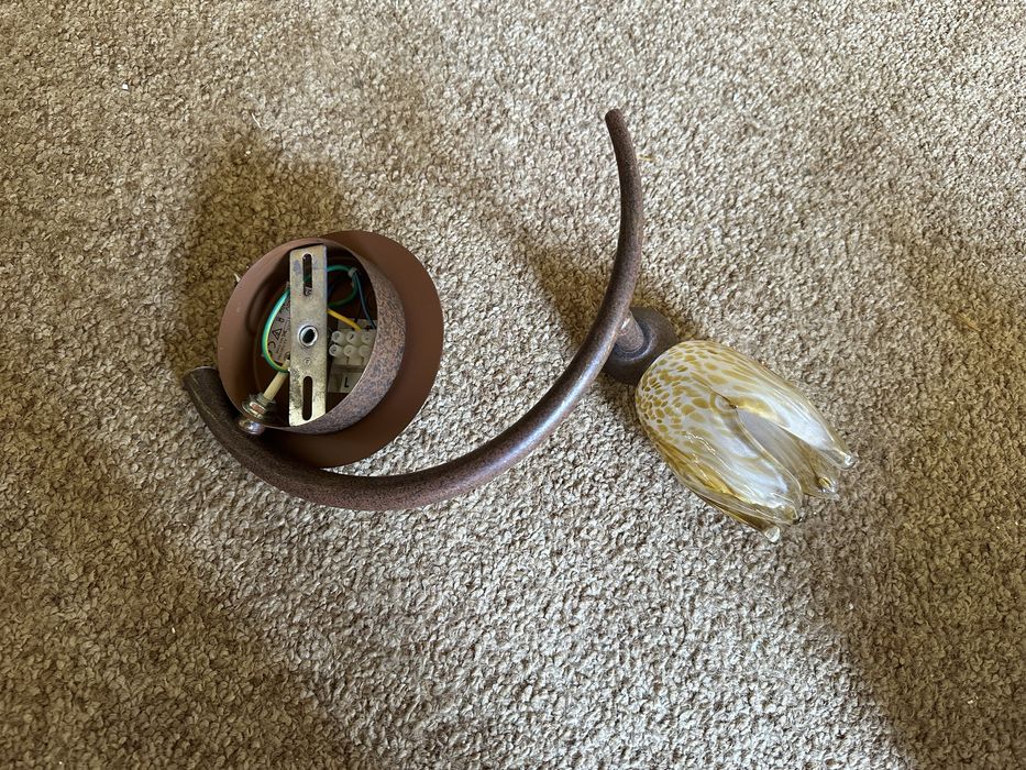 Candeeiros de teto (flor de vidro)