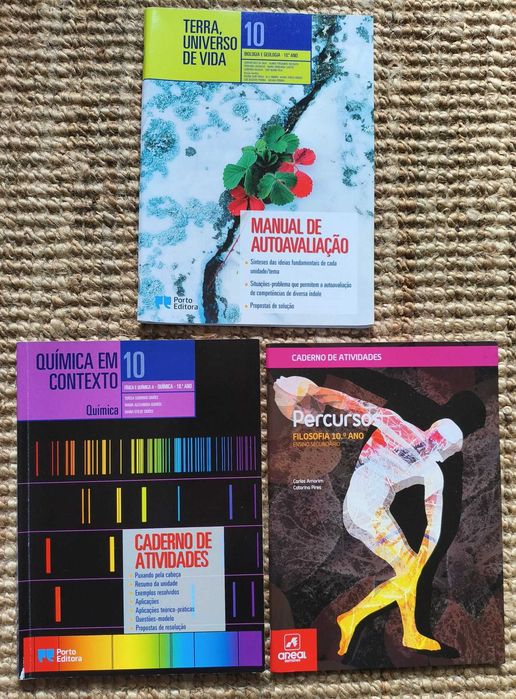 Livros 10º Ano - Várias disciplinas.