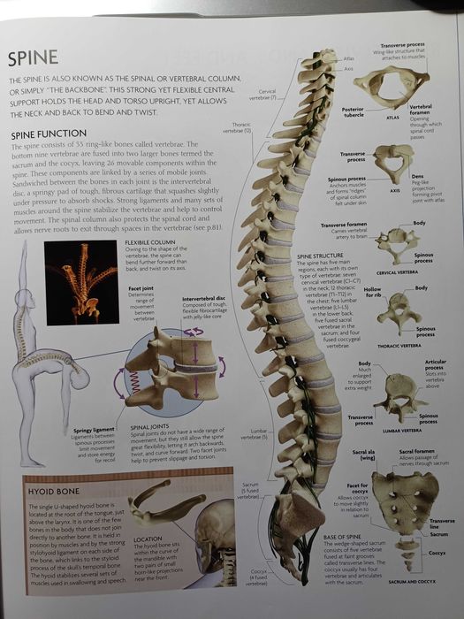 The human body book + DVD