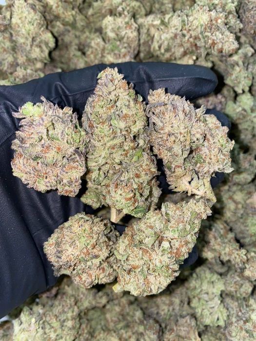 1000g Super Silver Haze