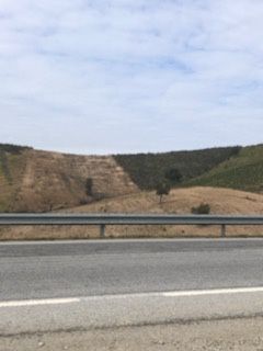 Terreno Rústico com 11.500 m² (1,15 ha) – Excelente Oportunidade de Investimento